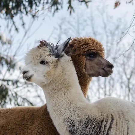 Pod Straznica Holiday home *