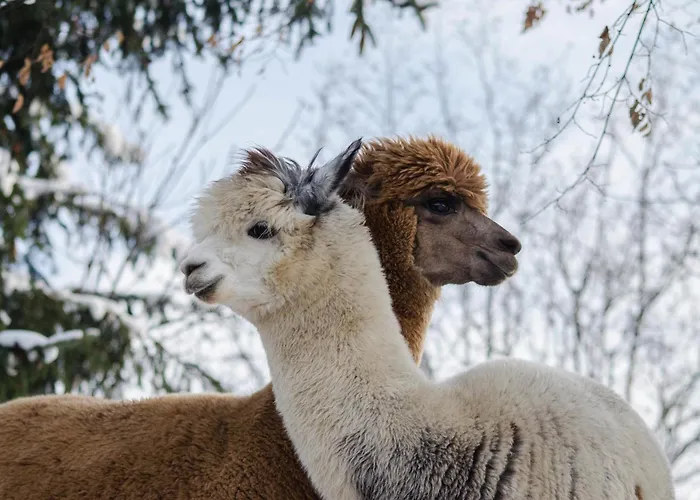 Pod Straznica Prázdninový dům *